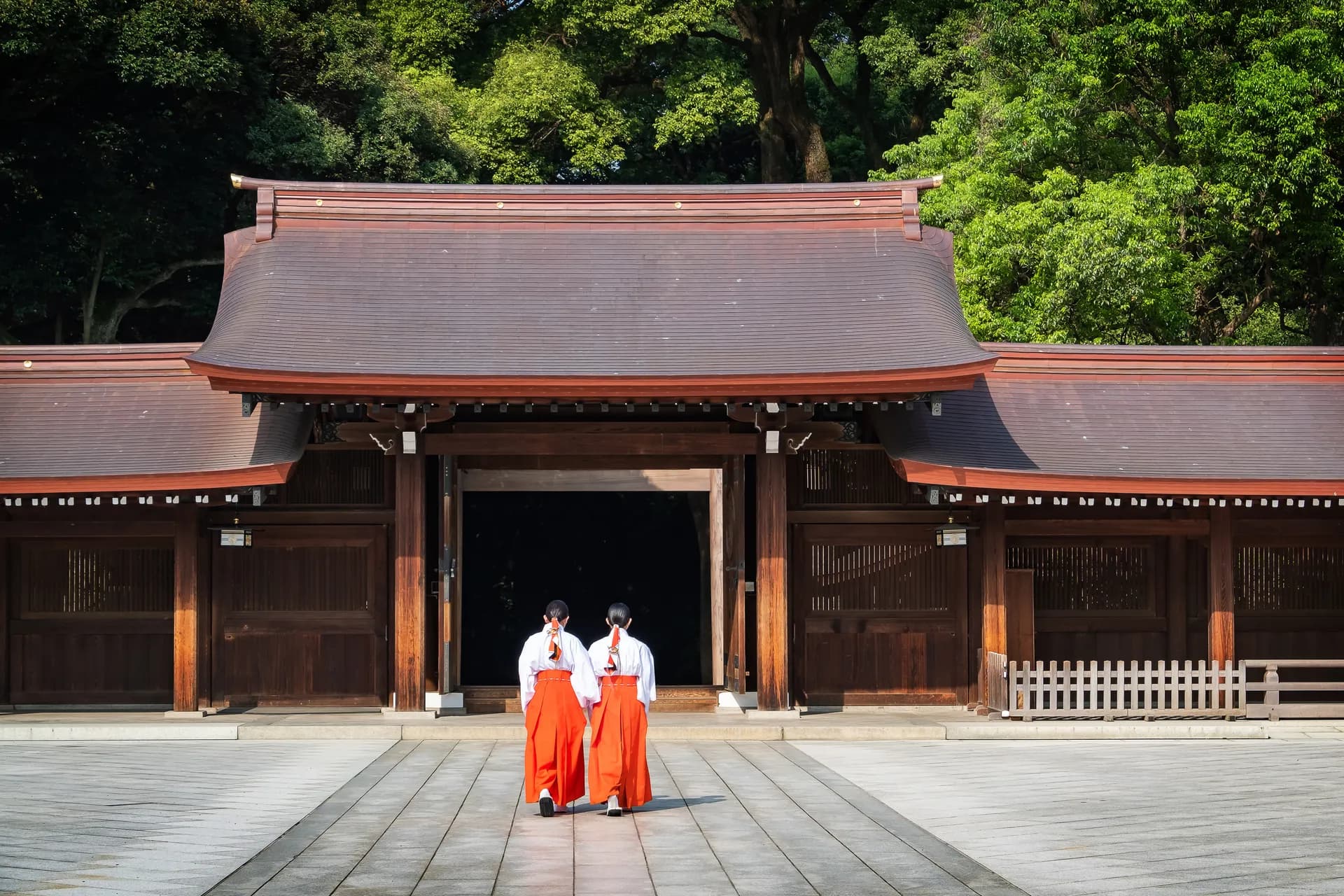Meiji Shrine forest pathway in Tokyo, Japan